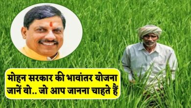 भावांतर योजना में सोयाबीन का मॉडल रेट 4260 रुपए जारी