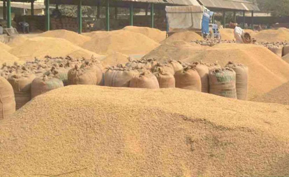 किसानों को आर्थिक रूप से “समृद्ध’ कर उत्तर प्रदेश को सशक्त बना रही योगी सरकार