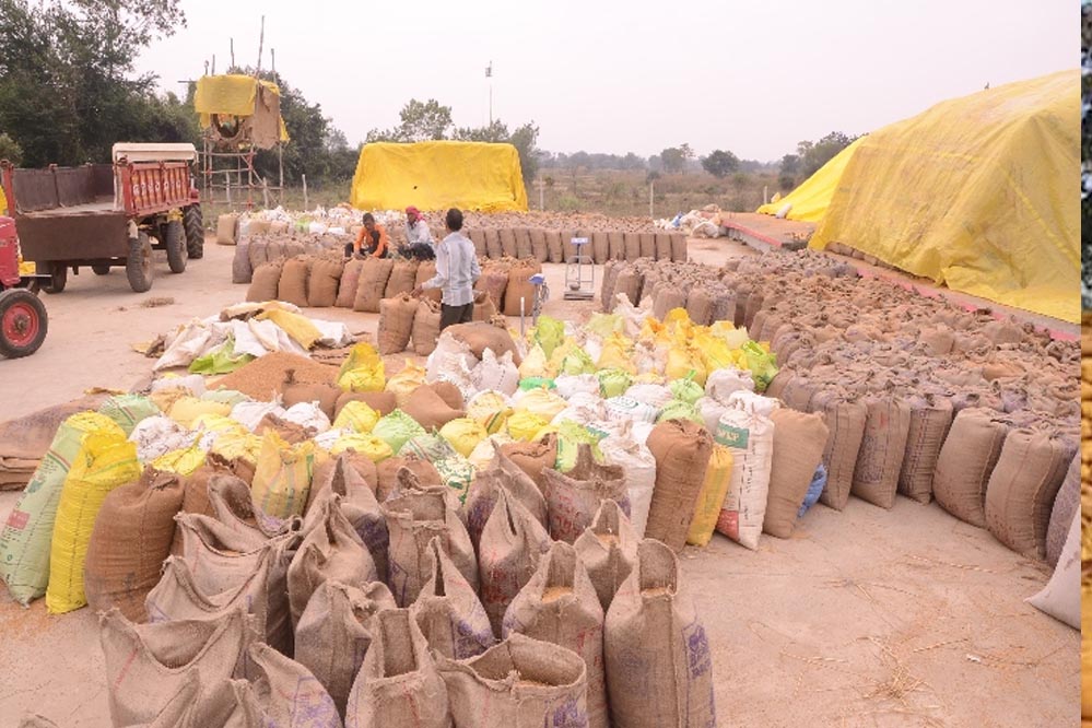 कोरिया : धान खरीदी केन्द्रों में समुचित व्यवस्था सुनिश्चित करें कोरिया : धान खरीदी केन्द्रों में समुचित व्यवस्था सुनिश्चित करें
