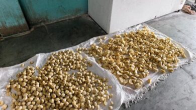 इंदौर में बड़ी कार्रवाई: ‘चिंटू मोमो’ फैक्ट्री सील, 150 किलो मिलावटी माल जब्त इंदौर में बड़ी कार्रवाई: ‘चिंटू मोमो’ फैक्ट्री सील, 150 किलो मिलावटी माल जब्त