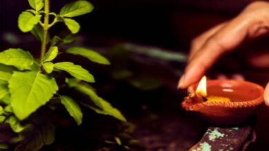 शाम को तुलसी के पास दीया जलाना क्यों माना जाता है शुभ? जानें फायदे