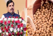 सोयाबीन किसानों के लिए राहत: मोहन सरकार देगी प्रति क्विंटल 1,300 रुपये का भावांतर