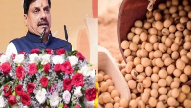सोयाबीन किसानों के लिए राहत: मोहन सरकार देगी प्रति क्विंटल 1,300 रुपये का भावांतर