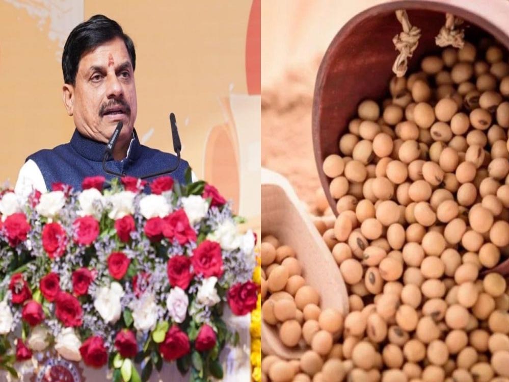 सोयाबीन किसानों के लिए राहत: मोहन सरकार देगी प्रति क्विंटल 1,300 रुपये का भावांतर सोयाबीन किसानों के लिए राहत: मोहन सरकार देगी प्रति क्विंटल 1,300 रुपये का भावांतर