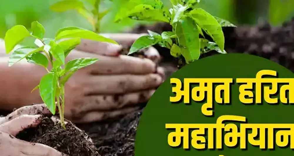 अमृत हरित महाअभियान के लिये संभागवार बैठकें, स्थानीय नर्सरियों को सुदृढ़ करने के निर्देश अमृत हरित महाअभियान के लिये संभागवार बैठकें, स्थानीय नर्सरियों को सुदृढ़ करने के निर्देश