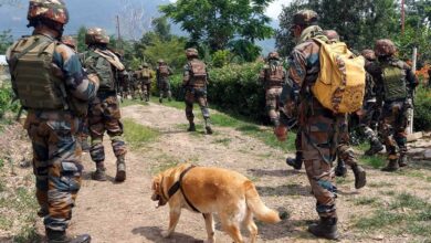 बसंतगढ़ में आतंकियों की हलचल! ग्रामीण ने खाना मांगने आए दहशतगर्दों की दी सूचना, जंगलों में सर्च ऑपरेशन तेज