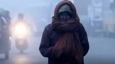 एमपी में ठंड का कहर: 16 नवंबर तक चलेगी कड़ाके की Cold Wave, 16 जिलों में अलर्ट जारी