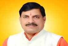 स्टेच्यू ऑफ यूनिटी केवड़िया में मनाया जाएगा मध्यप्रदेश दिवस, मुख्यमंत्री डॉ. यादव होंगे शामिल