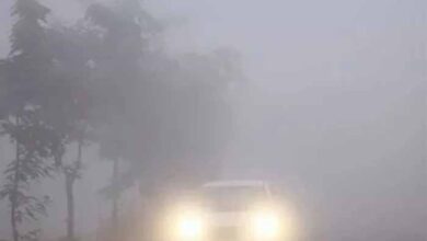 IMD का अलर्ट: दिल्ली, MP-CG समेत इन राज्यों में शीतलहर का प्रकोप शुरू, तापमान में बड़ी गिरावट