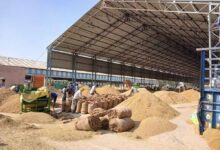 धान खरीदी में सुगमता हेतु ‘तुहर टोकन मोबाइल एप’ प्रारंभ — किसानों को मिलेगी घर बैठे टोकन सुविधा, समितियों में लंबी कतारों से मिलेगी मुक्ति