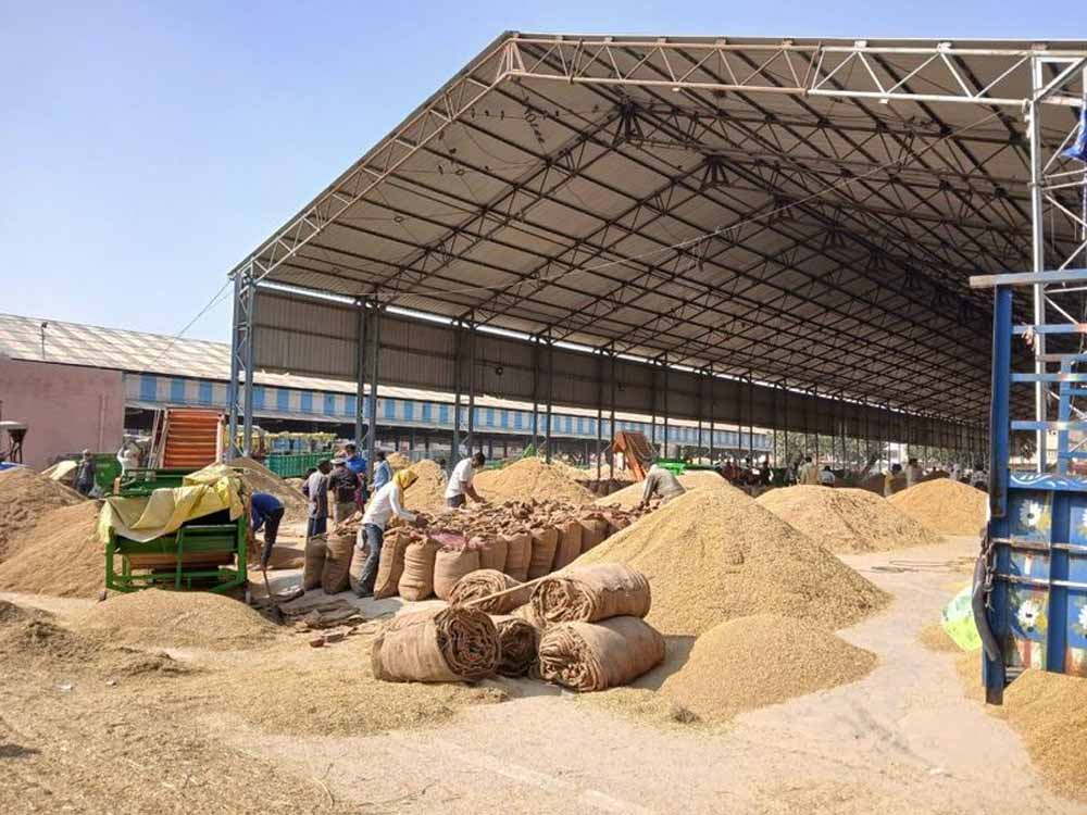 धान खरीदी में सुगमता हेतु ‘तुहर टोकन मोबाइल एप’ प्रारंभ — किसानों को मिलेगी घर बैठे टोकन सुविधा, समितियों में लंबी कतारों से मिलेगी मुक्ति