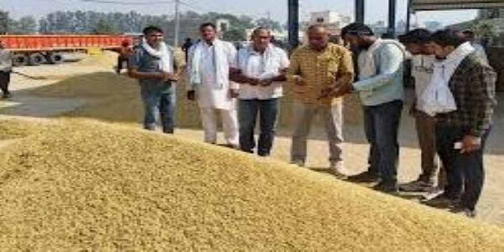 यूपी में धान खरीद को निरंतर मिल रहा किसानों का साथ यूपी में धान खरीद को निरंतर मिल रहा किसानों का साथ