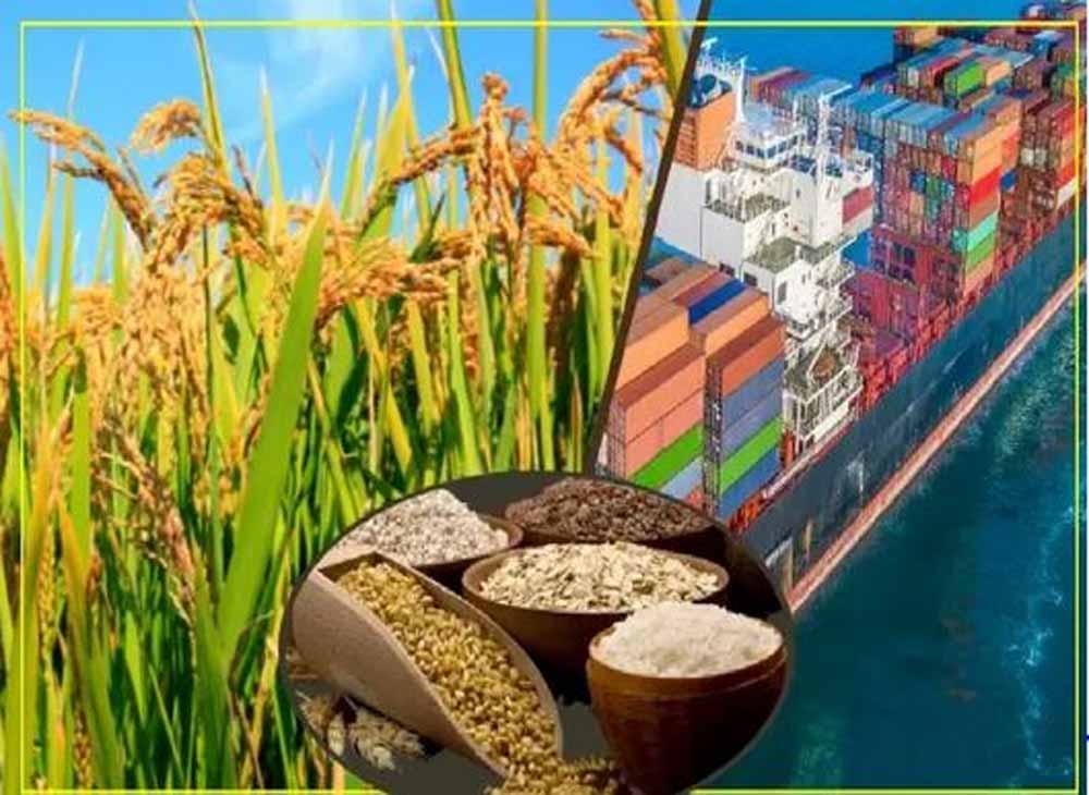 मध्यप्रदेश बना भारत का फूड-बास्केट, कृषि विकास में रचा नया इतिहास