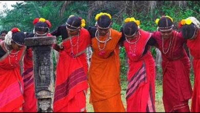 जनजातीय युवाओं को मिल रही भरपूर शैक्षणिक सुविधाएं जनजातीय युवाओं को मिल रही भरपूर शैक्षणिक सुविधाएं