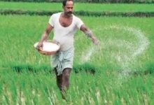 MP में किसानों को बड़ी राहत: अब घर-घर पहुंचेगी खाद, 3 जिलों में शुरू हुई नई सुविधा