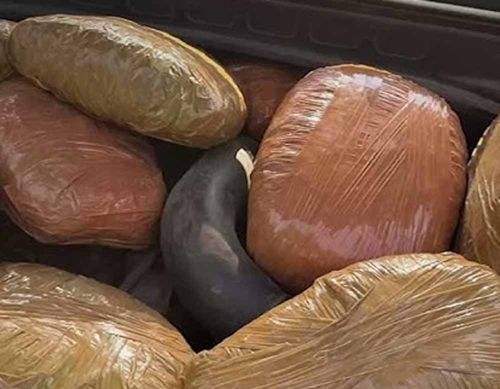 अवैध मादक पदार्थों के विरुद्ध मध्यप्रदेश पुलिस की प्रभावी कार्रवाई अवैध मादक पदार्थों के विरुद्ध मध्यप्रदेश पुलिस की प्रभावी कार्रवाई