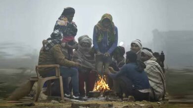 IMD का बड़ा अलर्ट: घना कोहरा, शीतलहर और भारी बारिश! देशभर में बढ़ेगी कड़ाके की ठंड