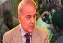 पाकिस्तान में आटे का हाहाकार: पंजाब सरकार के गेहूं बैन से रावलपिंडी-इस्लामाबाद में कोहराम