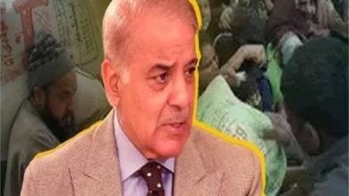 पाकिस्तान में आटे का हाहाकार: पंजाब सरकार के गेहूं बैन से रावलपिंडी-इस्लामाबाद में कोहराम पाकिस्तान में आटे का हाहाकार: पंजाब सरकार के गेहूं बैन से रावलपिंडी-इस्लामाबाद में कोहराम