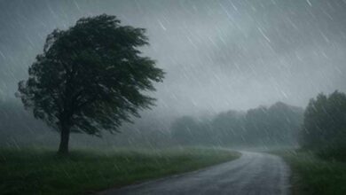 21-25 नवंबर तक बदलेगा मौसम का मिजाज: नया पश्चिमी विक्षोभ होगा सक्रिय