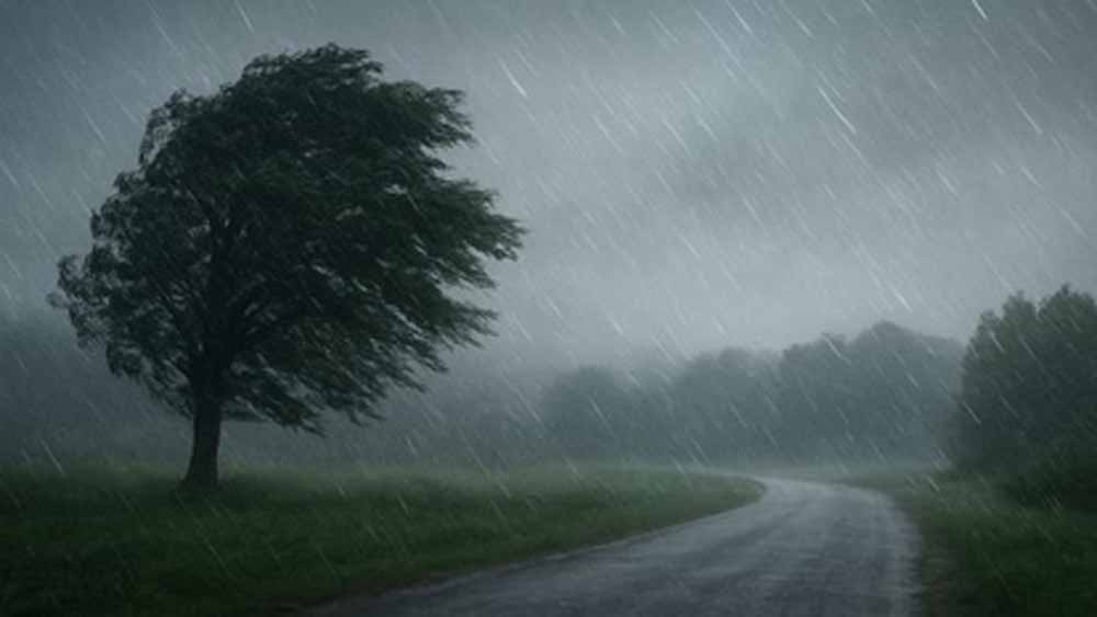 21-25 नवंबर तक बदलेगा मौसम का मिजाज: नया पश्चिमी विक्षोभ होगा सक्रिय