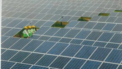 नीमच बना सौर ऊर्जा उत्पादन में प्रदेश का अग्रणी जिला