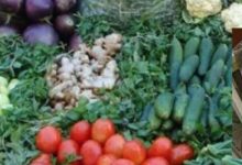 सब्जी बेचने वाले ने खुद को समिति संचालक बताकर महिला से 5.40 लाख की ठगी की