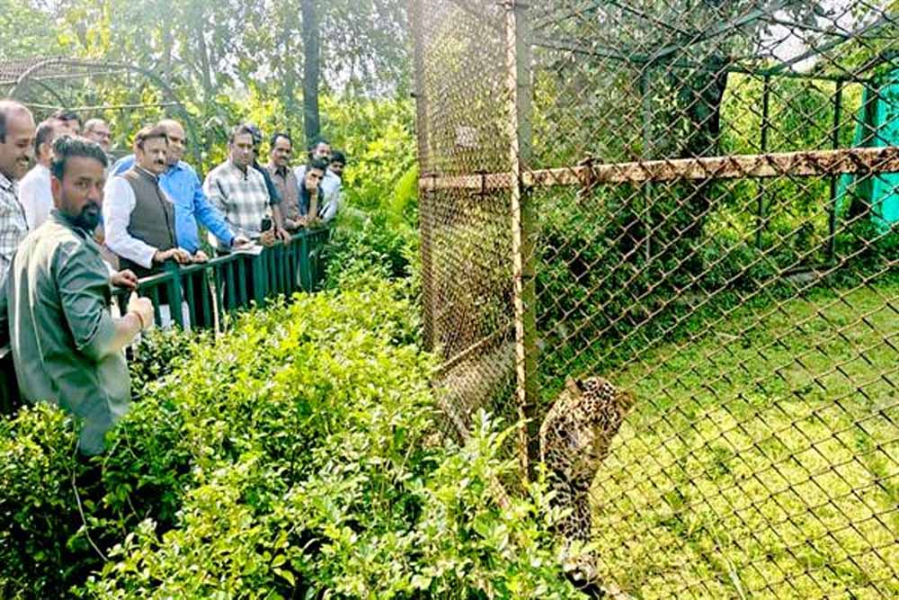 उप मुख्यमंत्री राजेन्द्र शुक्ल ने व्हाइट टाइगर सफारी का किया भ्रमण उप मुख्यमंत्री राजेन्द्र शुक्ल ने व्हाइट टाइगर सफारी का किया भ्रमण