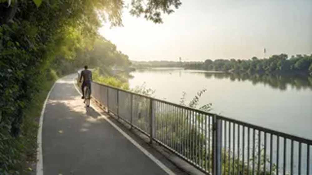 दिल्ली को मिल रहा 53KM का मेगा साइकिल कॉरिडोर: जानें कहां से कहां तक चलेगा पूरा रूट