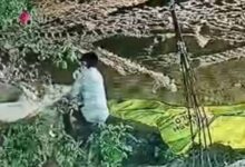 किसान की चालाकी से पकड़ा गया धान चोर, पुलिस ने तुरंत भेजा जेल