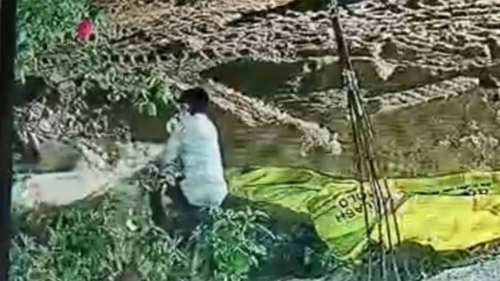 किसान की चालाकी से पकड़ा गया धान चोर, पुलिस ने तुरंत भेजा जेल किसान की चालाकी से पकड़ा गया धान चोर, पुलिस ने तुरंत भेजा जेल