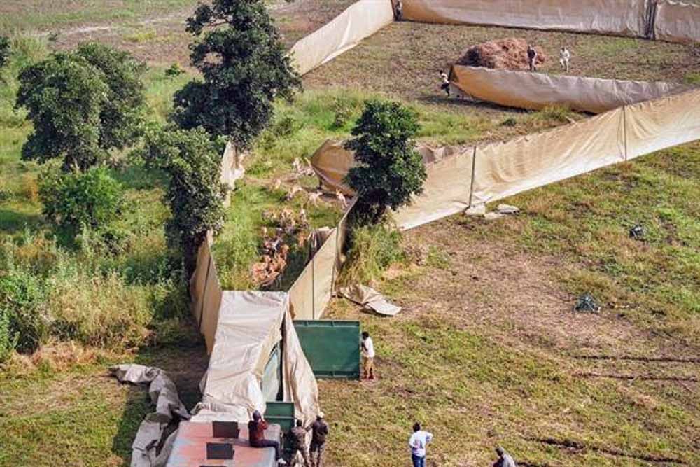 सेवा भाव और वन्य जीव संरक्षण का प्रतीक है देश का पहला हाई-टेक वन्य जीव कैप्चर अभियान : मुख्यमंत्री डॉ. यादव सेवा भाव और वन्य जीव संरक्षण का प्रतीक है देश का पहला हाई-टेक वन्य जीव कैप्चर अभियान : मुख्यमंत्री डॉ. यादव