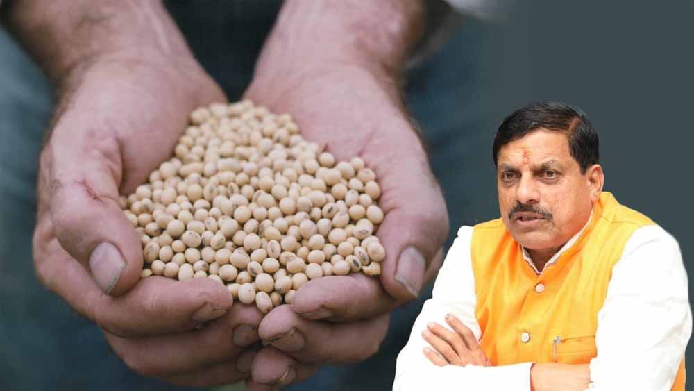 भावांतर योजना अपडेट: आज सोयाबीन का मॉडल रेट पहुँचा 4282 रुपये