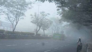 दिन में हल्की धूप, रात में बढ़ेगी ठंडक; जानें अगले दिनों का मौसम पूर्वानुमान