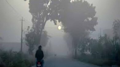 उत्तर भारत में ठंड का कहर शुरू! कोहरे की चादर से ढका उत्तर भारत, IMD ने जारी किया अलर्ट