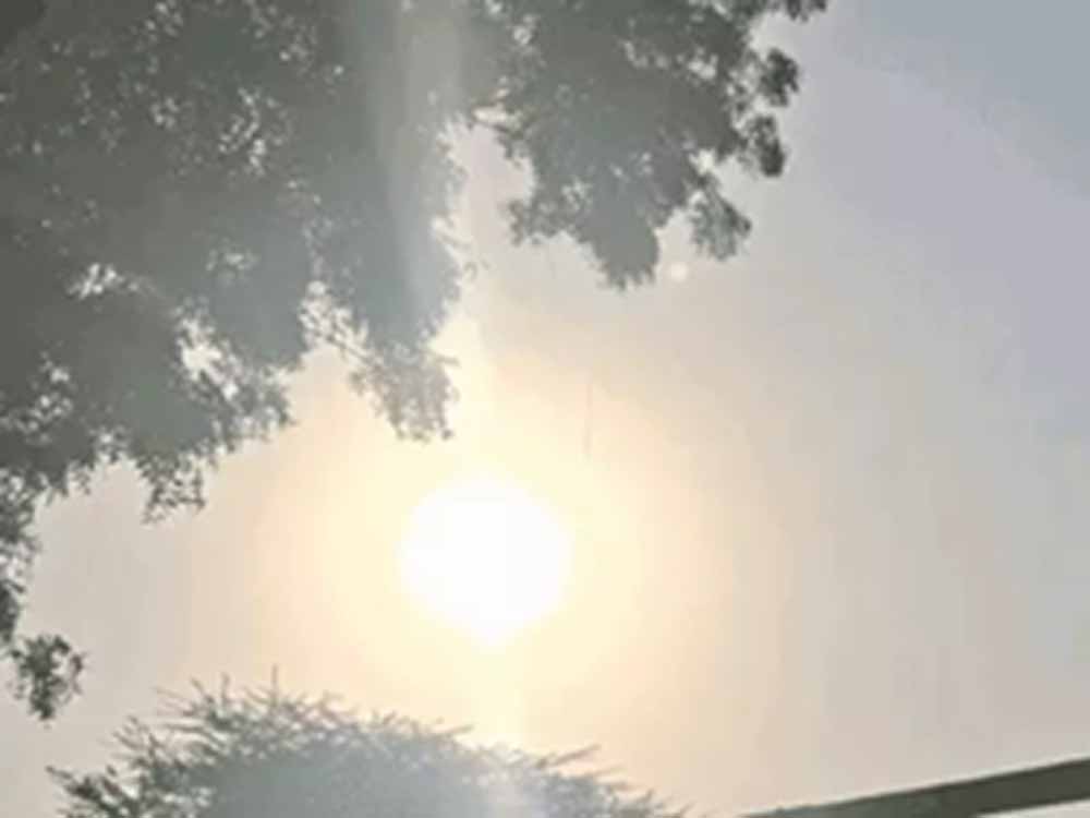 झारखंड में ठंड की मार, जमशेदपुर का तापमान गिरकर 11.6°C
