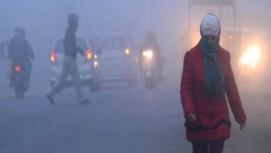 17 से ठंड में मिलेगी हल्की राहत, सरगुजा संभाग में शीतलहर अलर्ट जारी