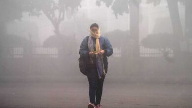 मध्यप्रदेश में सर्दी का कहर: राजगढ़ 7.4°C, इंदौर 7.6°C; 13 जिलों में शीतलहर, अनूपपुर-बालाघाट में कोल्ड डे