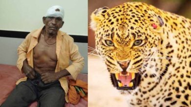 ग्रामीण पर तेंदुए का हमला, जंगल से नीम की पत्तियां लेने गया था ग्रामीण पर तेंदुए का हमला, जंगल से नीम की पत्तियां लेने गया था