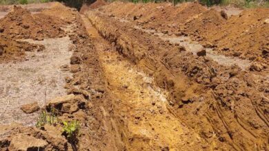 नगरी अंचल में हरित क्रांति की नींवः फुटहामुड़ा नहर से 22 गांवों को मिलेगी स्थायी सिंचाई नगरी अंचल में हरित क्रांति की नींवः फुटहामुड़ा नहर से 22 गांवों को मिलेगी स्थायी सिंचाई