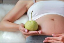 गर्भवती महिलाएँ और अमरूद: क्या बढ़ जाता है सर्दी-खांसी का खतरा? जानें विशेषज्ञ की राय