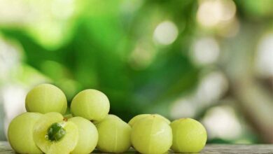सेहत के लिए बहुत जरूरी है आंवले का सेवन…