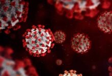 न्यू ईयर से पहले महामारी की आहट! इस बीमारी ने बढ़ाई लोगों की चिंता