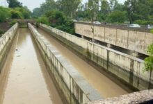 दिल्ली का खौफनाक वाटर प्लांट: एक साल में 35 लाशें मिलीं, चार साल में सबसे डरावना आंकड़ा