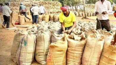 धमतरी में रिकॉर्ड रफ्तार से धान खरीदी,किसानों को 409 करोड़ का हुआ भुगतान