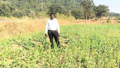 प्रधानमंत्री धन-धान्य कृषि योजना ने बदली किसानों की किस्मत प्रधानमंत्री धन-धान्य कृषि योजना ने बदली किसानों की किस्मत