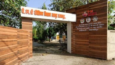 प्रदेश के 799 पीएमश्री स्कूलों में 4.80 लाख विद्यार्थियों को मिली अध्ययन की सुविधा प्रदेश के 799 पीएमश्री स्कूलों में 4.80 लाख विद्यार्थियों को मिली अध्ययन की सुविधा