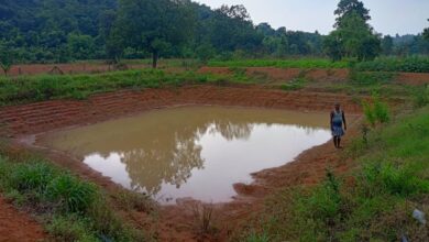 रायपुर : आत्मनिर्भरता, खुशहाली और ग्रामीण प्रेरणा की अद्भुत मिसाल रायपुर : आत्मनिर्भरता, खुशहाली और ग्रामीण प्रेरणा की अद्भुत मिसाल