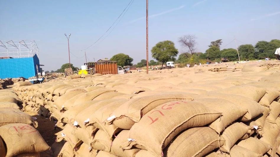 महासमुंद : धान खरीदी केंद्रों में अव्यवस्था पर तीन प्राधिकृत अधिकारी पद से पृथक