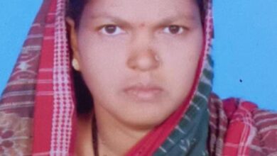 हस्तशिल्प पुरस्कार 2025: भारतीय हस्तकला को सम्मान, राष्ट्रीय पुरस्कार विजेता सुश्री हिराबाई झरेका बघेल ने बढाया छत्तीसगढ़ का मान